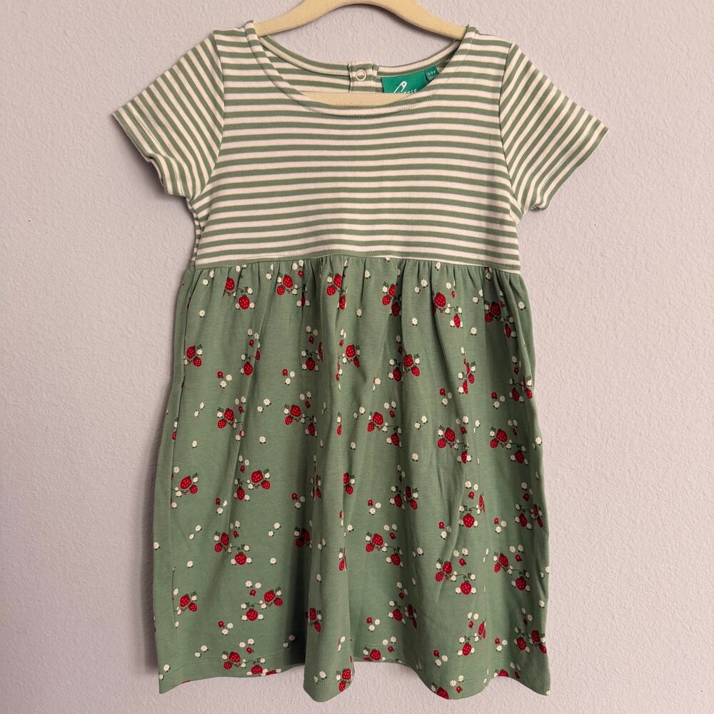 Little Green Radicals Girls green strawberry Dress Size 3-4